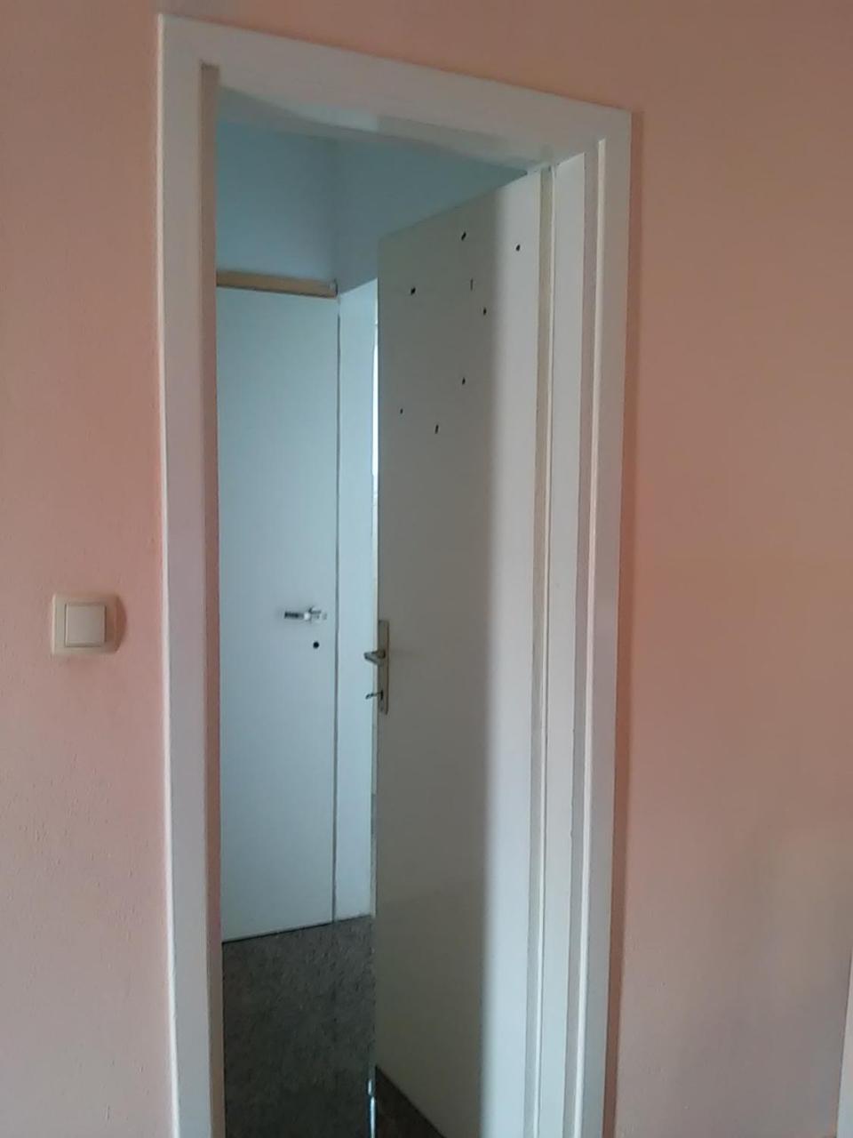 Vuk *